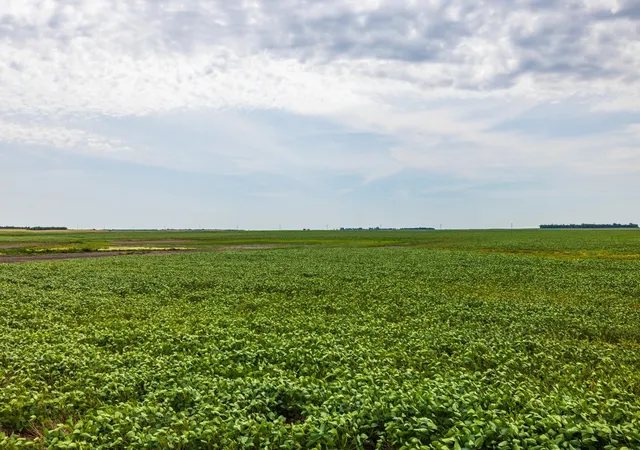 Photo 3 of Land for sale at Tbd 98 St Ne Lot 3, Bottineau, ND 58318 | MLS# 7161758 | Listing updated on 2026-10-18