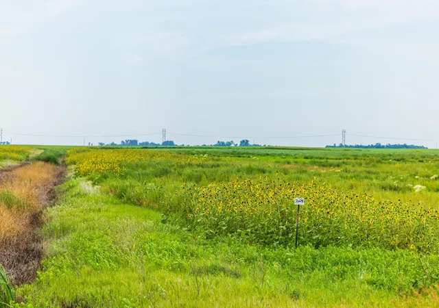 Photo 4 of Land for sale at Tbd 98 St NE Lot 3, Bottineau, ND 58318 | MLS# 7161758 | Listing updated on 2026-10-18