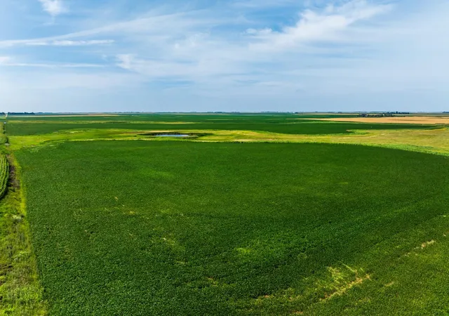 Photo 1 of Land for sale at Tbd 98 St Ne Lot 1, Bottineau, ND 58318 | MLS# 7161869 | Listing updated on 2026-10-19