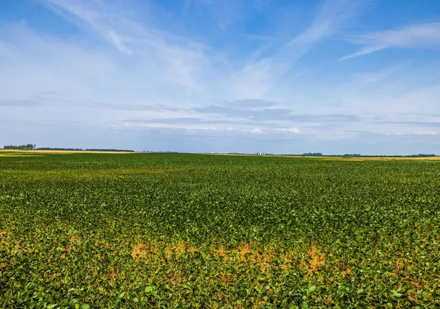 Photo 4 of Land for sale at Tbd 98 St NE Lot 1, Bottineau, ND 58318 | MLS# 7161869 | Listing updated on 2026-10-19