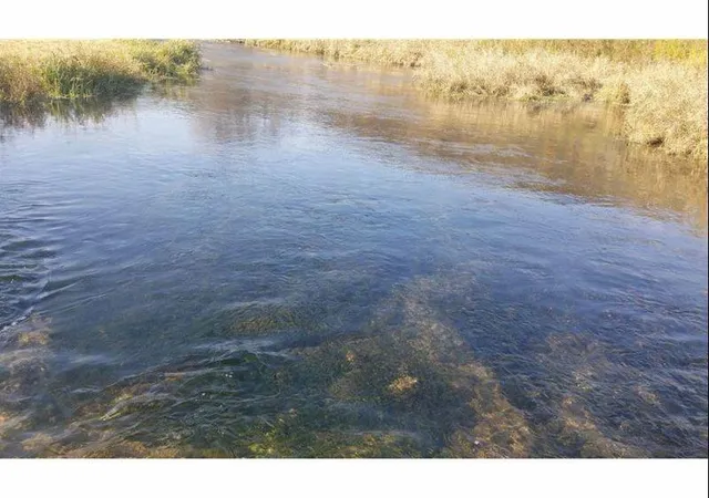 Photo 3 of Land for sale at Tbd Middle St, Cannon Falls, MN 55009 | MLS# 7161948 | Listing updated on 2026-10-19