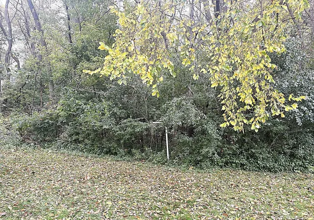 Photo 4 of Single family home for sale at 415 W Adolphus Ave, Fergus Falls, MN 56537 | MLS# 7162169 | Listing updated on 2026-10-20