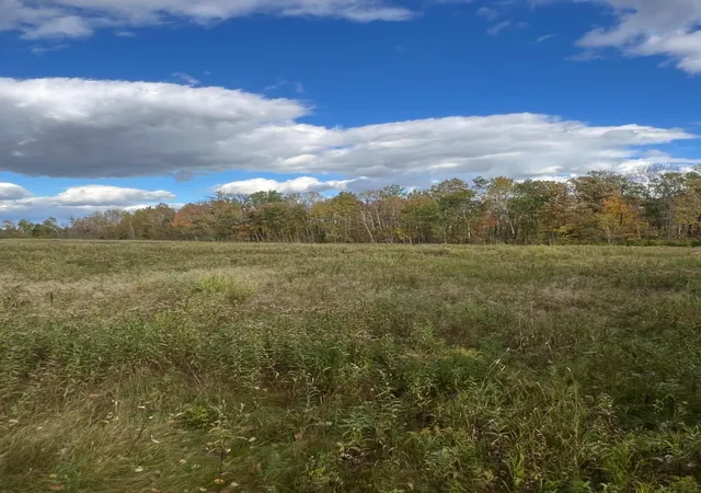 Photo 1 of Land for sale at Xxx County Rd 1, Emily, MN 56447 | MLS# 7162514 | Listing updated on 2026-10-21