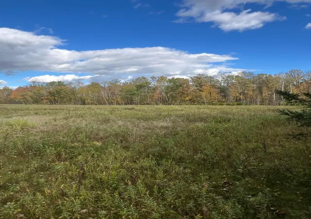 Photo 3 of Land for sale at Xxx County Rd 1, Emily, MN 56447 | MLS# 7162514 | Listing updated on 2026-10-21