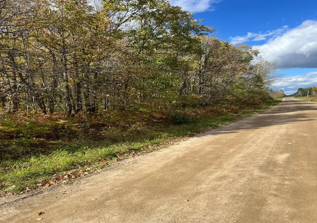 Photo 4 of Land for sale at Xxx County Rd 1, Emily, MN 56447 | MLS# 7162514 | Listing updated on 2026-10-21