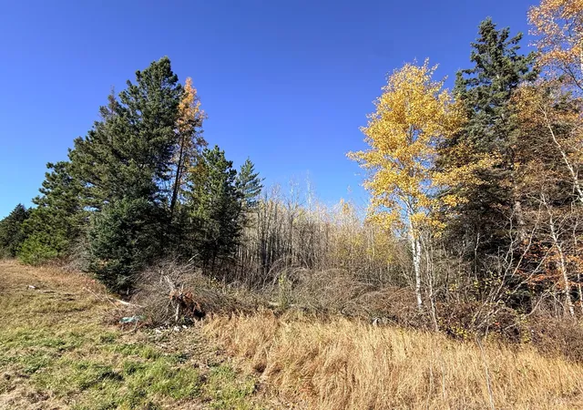 Photo 2 of Land for sale at Tbd Nw Trengove Rd, Solway, MN 56678 | MLS# 7162908 | Listing updated on 2026-10-23