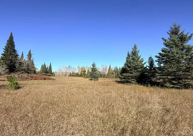 Photo 3 of Land for sale at Tbd Nw Trengove Rd, Solway, MN 56678 | MLS# 7162908 | Listing updated on 2026-10-23