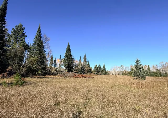 Photo 3 of Land for sale at Tbd NW Trengove Rd, Solway, MN 56678 | MLS# 7162908 | Listing updated on 2026-10-23
