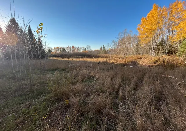 Photo 1 of Single family home for sale at 10629 Town Rd 34, Mizpah, MN 56660 | MLS# 7163579 | Listing updated on 2026-10-23