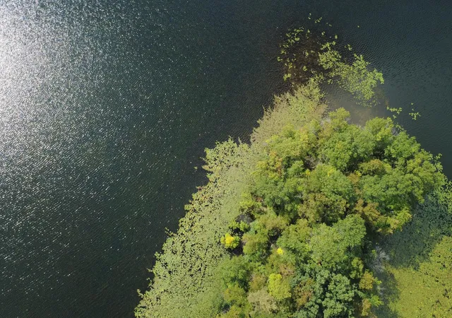 Photo 4 of Land for sale at Tbd Ideal Ave N, Grant, MN 55110 | MLS# 7163669 | Listing updated on 2026-10-23