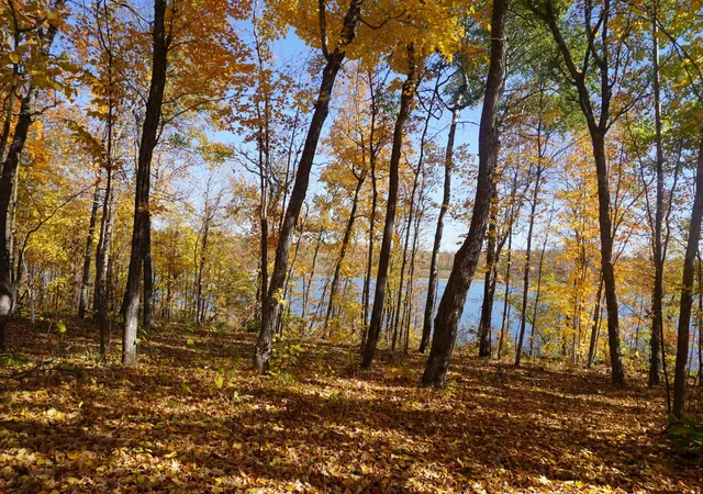Photo 3 of Single family home for sale at 206 Wild Cherry Dr Ne, Cass Lake, MN 56633 | MLS# 7163977 | Listing updated on 2026-10-23