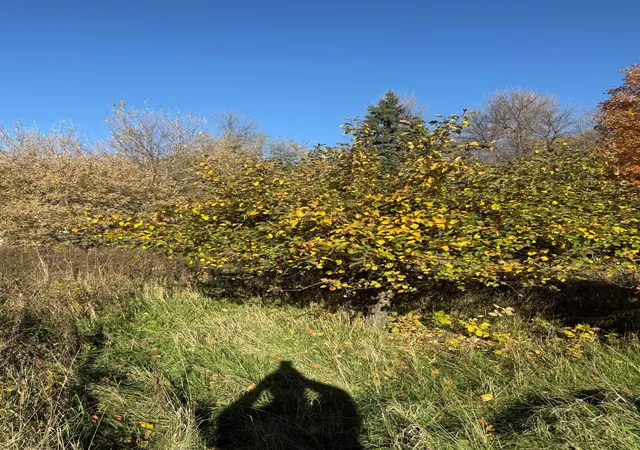 Photo 3 of Land for sale at 14219 15th Street Ne, Hatton, ND 58240 | MLS# 7164531 | Listing updated on 2026-10-28