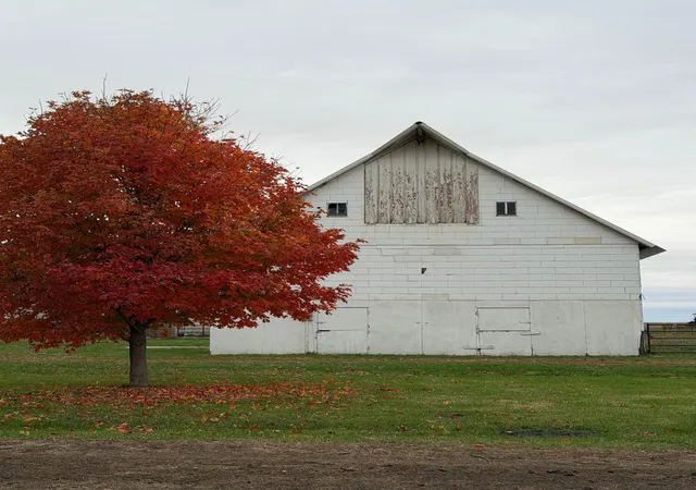 Photo 3 of Single family home for sale at 1205 50th Avenue, Sherburn, MN 56171 | MLS# 7164899 | Listing updated on 2026-10-27