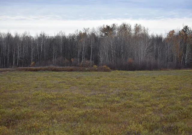 Photo 1 of Land for sale at Tbd 32nd Street SW, Pine River, MN 56474 | MLS# 7165214 | Listing updated on 2026-10-29