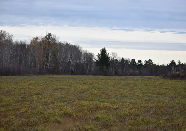 Photo 2 of Land for sale at Tbd 32nd Street SW, Pine River, MN 56474 | MLS# 7165214 | Listing updated on 2026-10-29