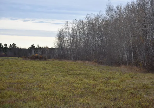 Photo 3 of Land for sale at Tbd 32nd Street SW, Pine River, MN 56474 | MLS# 7165214 | Listing updated on 2026-10-29