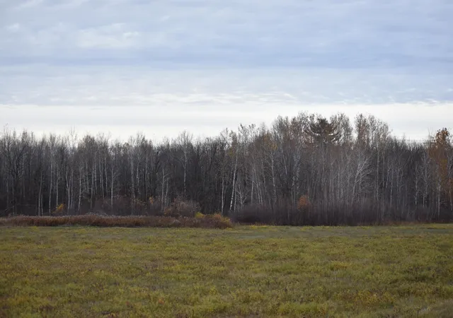 Photo 4 of Land for sale at Tbd 32nd Street SW, Pine River, MN 56474 | MLS# 7165214 | Listing updated on 2026-10-29