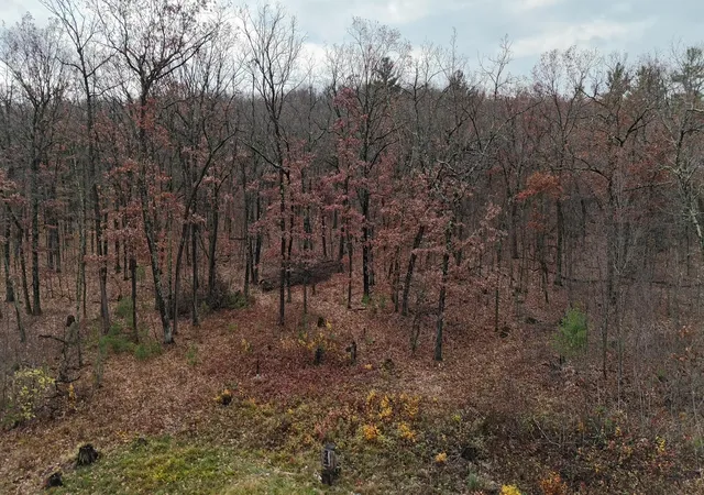 Photo 1 of Land for sale at Tbd 85th Street, Frederic, WI 54837 | MLS# 7165687 | Listing updated on 2026-10-28