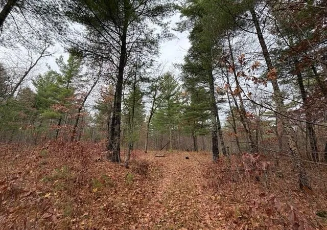 Photo 3 of Land for sale at Tbd 85th Street, Frederic, WI 54837 | MLS# 7165687 | Listing updated on 2026-10-28