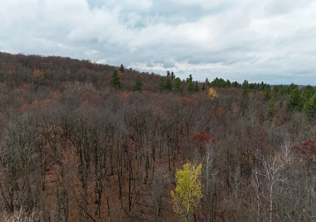 Photo 4 of Land for sale at Tbd 85th Street, Frederic, WI 54837 | MLS# 7165687 | Listing updated on 2026-10-28