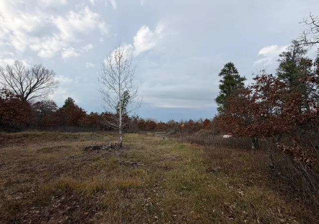 Photo 2 of Land for sale at Xxxx 280th Avenue, Saint Croix Falls, WI 54024 | MLS# 7166468 | Listing updated on 2026-10-30