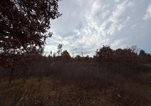 Photo 3 of Land for sale at Xxxx 280th Avenue, Saint Croix Falls, WI 54024 | MLS# 7166468 | Listing updated on 2026-10-30