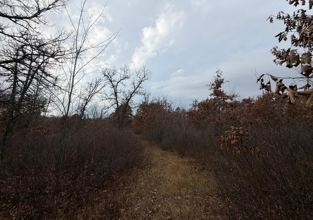Photo 4 of Land for sale at Xxxx 280th Avenue, Saint Croix Falls, WI 54024 | MLS# 7166468 | Listing updated on 2026-10-30