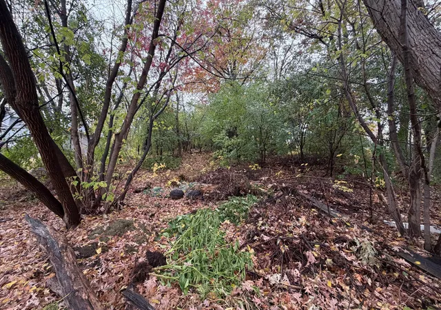 Photo 4 of Land for sale at 2051 Wilson Ave, South Saint Paul, MN 55075 | MLS# 7166663 | Listing updated on 2026-10-29