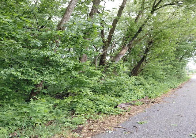 Photo 3 of Land for sale at 5455 Connecticut St, Merrillville, IN 46410 | MLS# 469263 | Listing updated on 2026-01-27