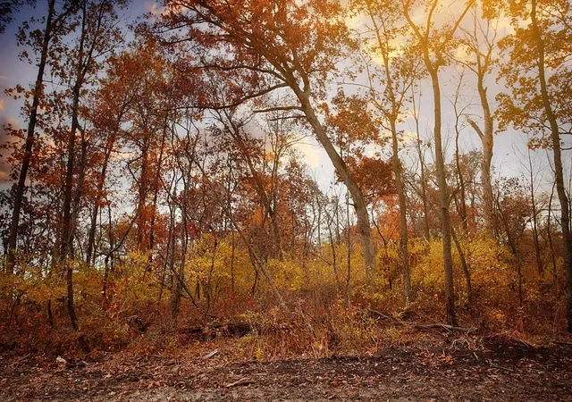 Photo 3 of Land for sale at 16611 Lot 77 Noble St, Lowell, IN 46356 | MLS# 534116 | Listing updated on 2026-05-22