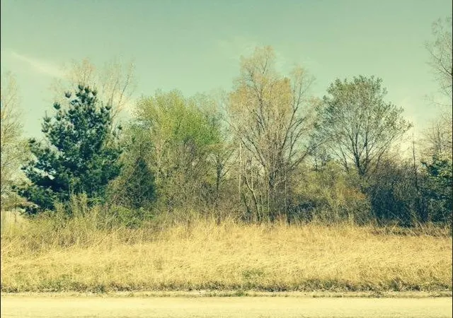 Photo 1 of Land for sale at 0 Springland Ave, Michigan City, IN 46360 | MLS# 529316 | Listing updated on 2026-04-13