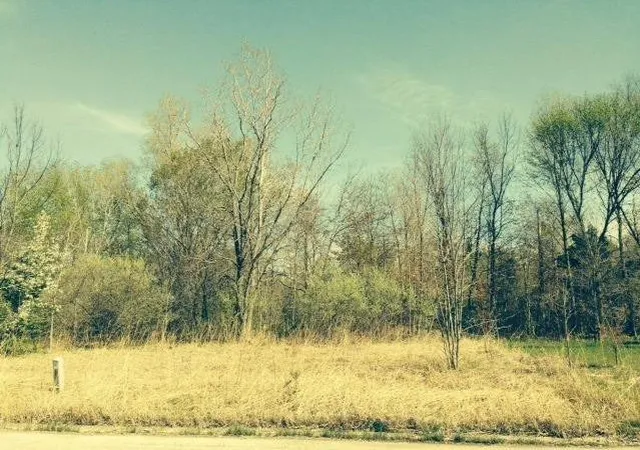 Photo 2 of Land for sale at 0 Springland Ave, Michigan City, IN 46360 | MLS# 529316 | Listing updated on 2026-04-13