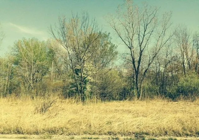 Photo 3 of Land for sale at 0 Springland Ave, Michigan City, IN 46360 | MLS# 529316 | Listing updated on 2026-04-13