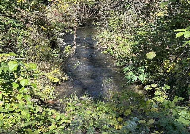 Photo 3 of Land for sale at 0 Nicomus Path, La Porte, IN 46350 | MLS# 811765 | Listing updated on 2025-10-12