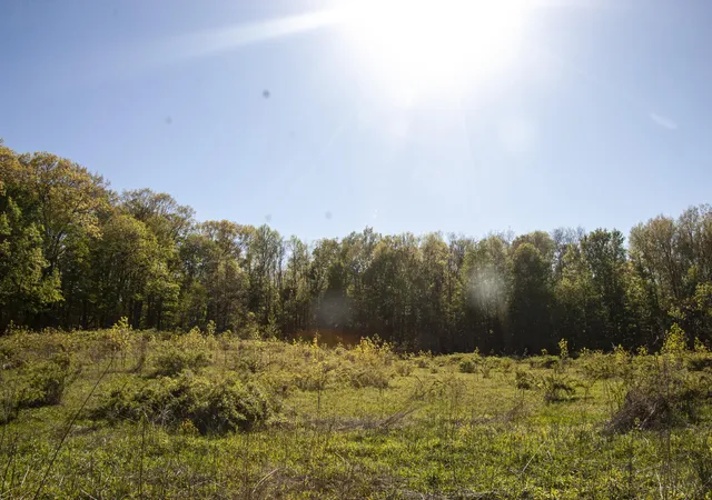 Photo 3 of Land for sale at 6877 N Nature Ln, La Porte, IN 46350 | MLS# 819653 | Listing updated on 2026-07-21