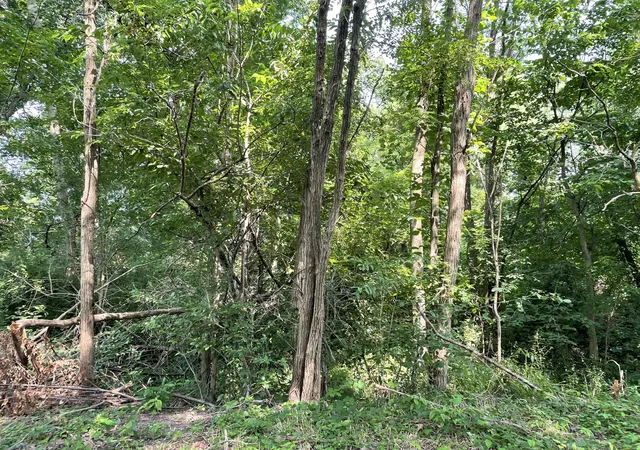 Photo 3 of Land for sale at Vacant Land Heritage Lane Rd, South Haven, IN 46385 | MLS# 824288 | Listing updated on 2026-07-08