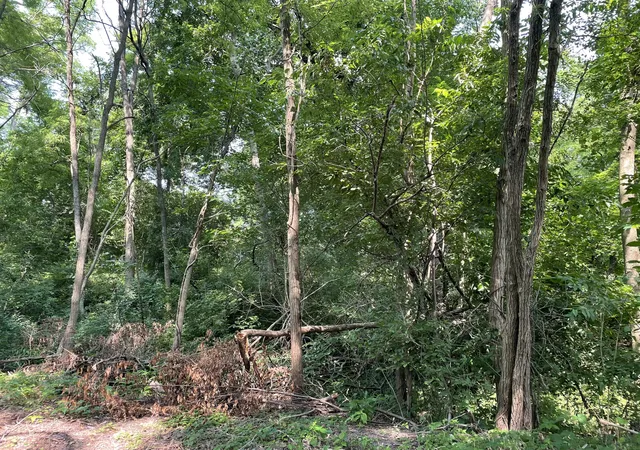 Photo 3 of Land for sale at Vacant Land Heritage Lane Rd, South Haven, IN 46385 | MLS# 824288 | Listing updated on 2026-07-08