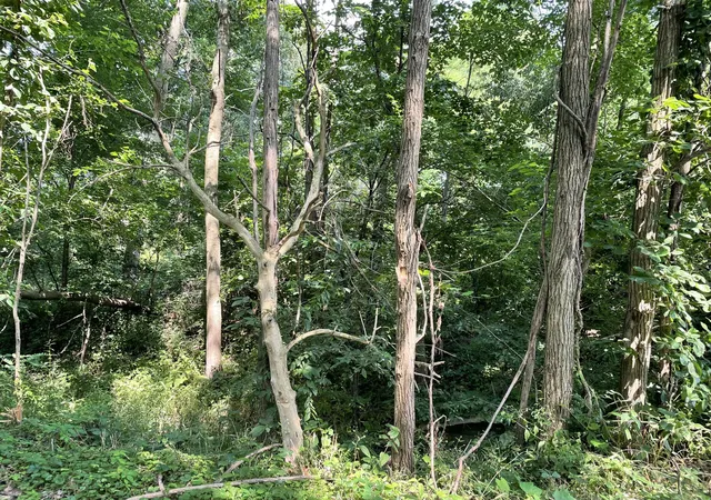 Photo 4 of Land for sale at Vacant Land Heritage Lane Rd, South Haven, IN 46385 | MLS# 824288 | Listing updated on 2026-07-08