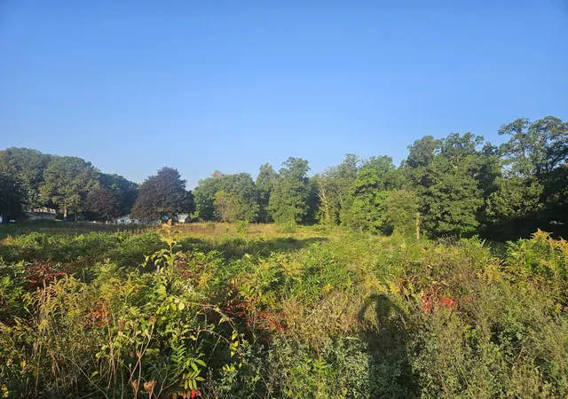 Photo 2 of Land for sale at 195 W Mcclung Rd, La Porte, IN 46350 | MLS# 828484 | Listing updated on 2025-09-28