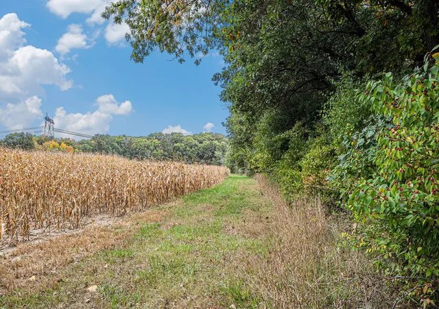 4th image of 17022 Mount St Holtz Rd, Lowell, IN 46356 | MLS# 834772
