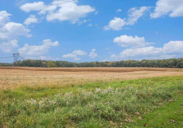 5th image of 17022 Mount St Holtz Rd, Lowell, IN 46356 | MLS# 834772