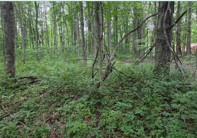 1st image of 313 E 1307 North Rd, Chesterton, IN 46304 | MLS# 835519