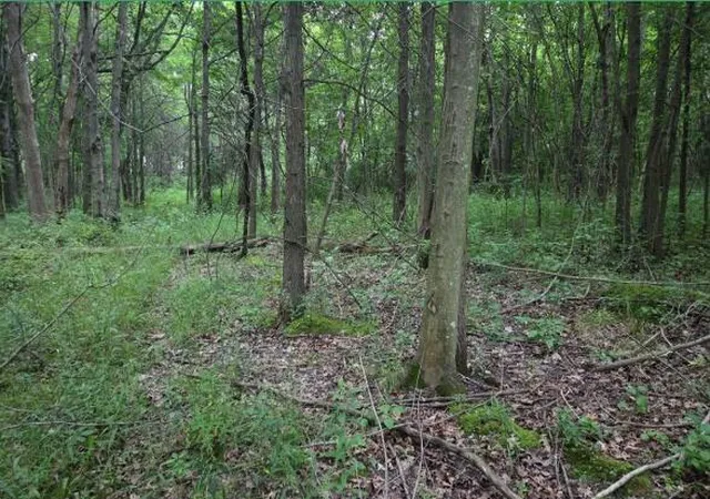 3rd image of 313 E 1307 North Rd, Chesterton, IN 46304 | MLS# 835519