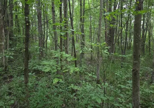 4th image of 313 E 1307 North Rd, Chesterton, IN 46304 | MLS# 835519
