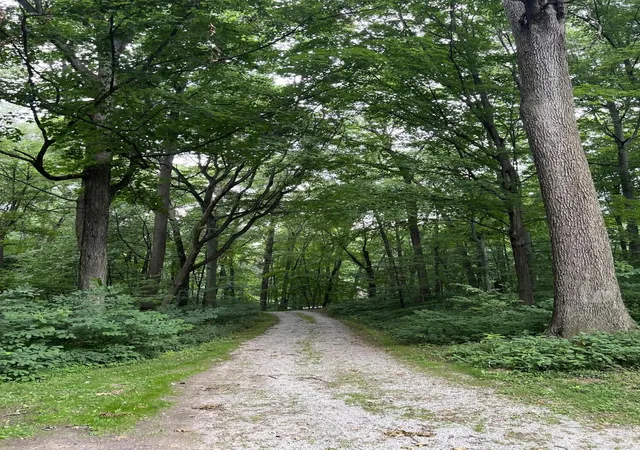 15th image of 370 E Us Hwy 6, Valparaiso, IN 46383 | MLS# 835809