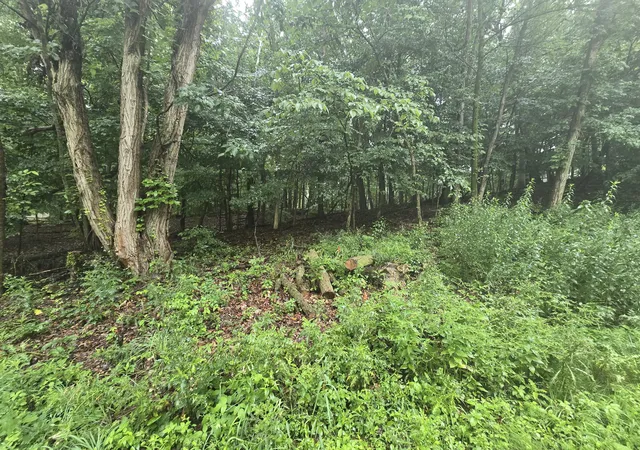 3rd image of 464 Roxbury Rd, Valparaiso, IN 46385 | MLS# 838078