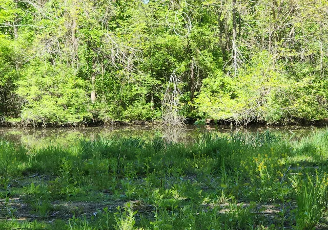 9th image of 2282 W 1165 N, Sumava Resorts, IN 46379 | MLS# 840010