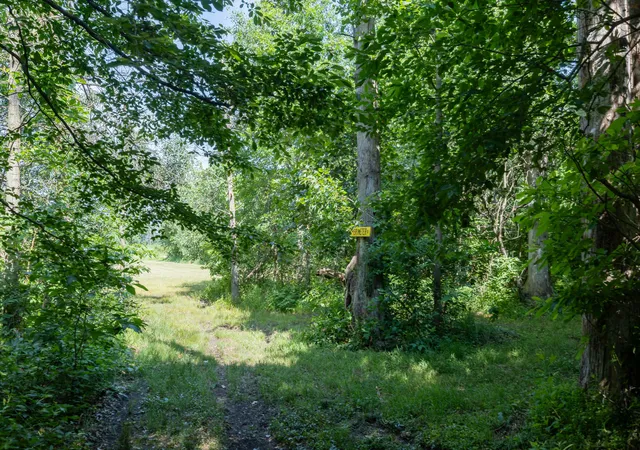 16th image of Tbd S 250 W, Morocco, IN 47963 | MLS# 840299