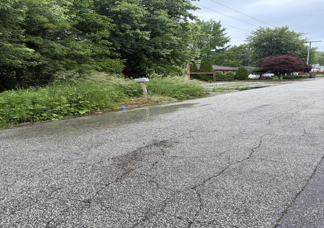 Photo 3 of Land for sale at 300 Harrison Ave, Hobart, IN 46342 | MLS# 840336 | Listing updated on 2026-10-07
