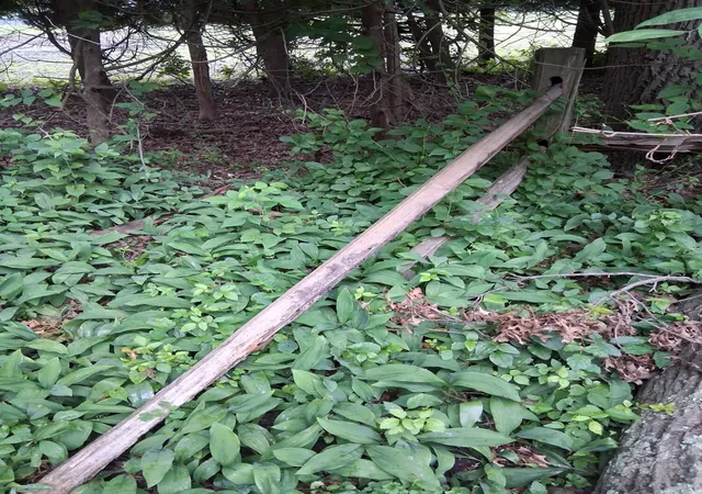 Photo 3 of Land for sale at Lot S 087 Deer Path Dr, Knox, IN 46534 | MLS# 840391 | Listing updated on 2026-06-22
